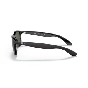Ray-Ban ANDY 4202 606971 55◻17 145