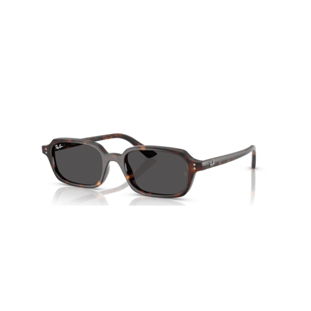Ray-Ban 4455 ZURI